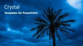  Presentation with palm tree - Audience pleasing PPT theme consisting of palm-tree-in-a-cyclone backdrop and a ocean colored foreground