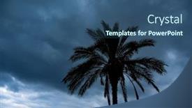  Presentation with palm tree - Presentation design consisting of palm-tree-in-a-cyclone background and a ocean colored foreground