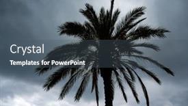  Presentation with palm tree - Amazing presentation having palm-tree-in-a-cyclone backdrop and a ocean colored foreground