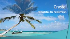  Presentation with palm tree - Cool new theme with palm tree in costa maya backdrop and a teal colored foreground