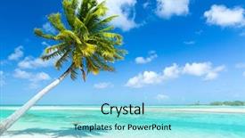  Presentation with palm tree - Theme enhanced with palm tree in french polynesia background and a arctic colored foreground
