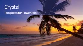  Presentation with palm beach - Presentation having palm tree in riviera maya background and a ocean colored foreground