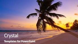  Presentation with palm tree - Theme enhanced with palm tree in riviera maya background and a coral colored foreground