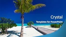  Presentation with palm tree - Theme enhanced with palm tree in tropical perfect beach with jetty in distance background and a ocean colored foreground