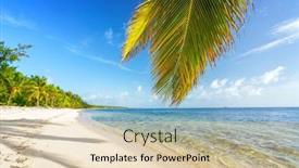  Presentation with republic dominican - Beautiful PPT layouts featuring palm-tree-leaf-over-ocean backdrop and a lemonade colored foreground