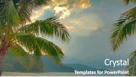  Presentation with palm leaves - PPT layouts having palm tree leaves under rainy sky on the beach background and a ocean colored foreground