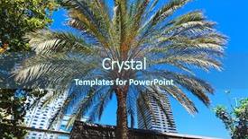  Presentation with palm tree - Slide set featuring palm tree on a background of a modern city background and a ocean colored foreground