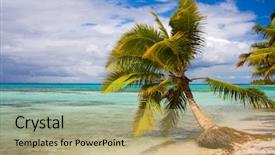  Presentation with palm tree - Amazing presentation theme having beautiful deserted tropical beach backdrop and a yellow colored foreground