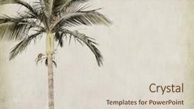  Presentation with palm tree - Amazing PPT theme having palm tree on old paper backdrop and a lemonade colored foreground