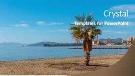  Presentation with palm tree - Presentation theme having palm-tree-on-the-beach background and a teal colored foreground