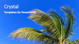  Presentation with palm oil seeds of tree - Beautiful PPT theme featuring palm tree on the sky backdrop and a cobalt blue colored foreground