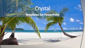  Presentation with palm tree - Slide deck consisting of palm tree on the tropical beach near sea water with sky background background and a teal colored foreground