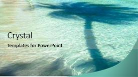  Presentation with palm tree - Beautiful slide set featuring palm tree shadow on blue backdrop and a soft green colored foreground