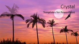  Presentation with tree silhouette - Theme enhanced with palm tree silhouette on paradise background and a coral colored foreground