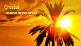  Presentation with tree silhouette - Cool new PPT theme with palm tree silhouette over sunset backdrop and a crimson colored foreground