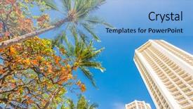  Presentation with palm tree - Beautiful theme featuring hotel building and blue backdrop and a light blue colored foreground