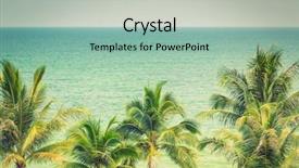  Presentation with palm tree - Colorful slide deck enhanced with tree with beautiful seascape filtered backdrop and a mint green colored foreground