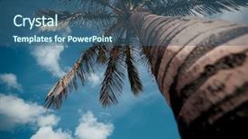  Presentation with date palm - Slides consisting of palm tree background and a ocean colored foreground