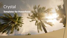  Presentation with blue sky - Audience pleasing slides consisting of palm-trees-against-blue-sky backdrop and a coral colored foreground