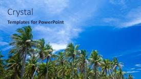  Presentation with blue sky - Colorful slide set enhanced with palm-trees-against-blue-sky backdrop and a light blue colored foreground