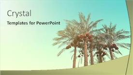  Presentation with blue sky - Beautiful slide set featuring palm-trees-against-the-backdrop backdrop and a mint green colored foreground