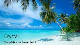  Presentation with palm beach - Amazing presentation theme having palm trees and blue lagoon backdrop and a light blue colored foreground