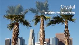  Presentation with palm tree - PPT layouts having palm trees and highrise office background and a teal colored foreground