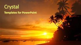  Presentation with palm tree - Presentation design with palm trees at sunset background and a tawny brown colored foreground