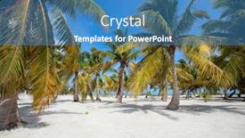  Presentation with palm - Amazing PPT theme having palm trees at tropical coast in holbox island mexico backdrop and a teal colored foreground