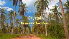  Presentation with tropical forest - Colorful PPT layouts enhanced with palm trees forest tropical nature view backdrop and a tawny brown colored foreground