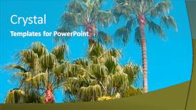  Presentation with palm - Amazing slides having palm-trees-grove-against-cyan backdrop and a teal colored foreground