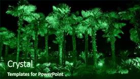  Presentation with light green - Audience pleasing theme consisting of palm trees illuminated with green backdrop and a forest green colored foreground