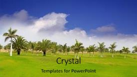  Presentation with rustic wedding green gold - Beautiful PPT theme featuring palm trees in canary island backdrop and a gold colored foreground