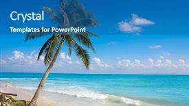  Presentation with maya - Cool new slide set with palm trees in riviera maya backdrop and a ocean colored foreground