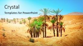  Presentation with sahara - PPT theme with palm trees in sahara desert background and a arctic colored foreground