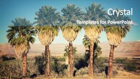  Presentation with rubber tree in row - Audience pleasing theme consisting of palm trees in the desert backdrop and a teal colored foreground