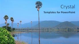  Presentation with city india - PPT layouts having palm-trees-in-the-middle background and a light blue colored foreground