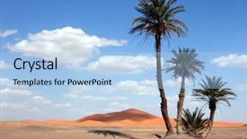 Presentation with sahara - PPT theme having palm trees in the sahara background and a light blue colored foreground