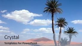  Presentation with sahara - Amazing PPT theme having palm trees in the sahara backdrop and a light blue colored foreground