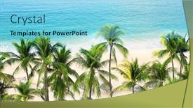  Presentation with ocean waves - Colorful presentation design enhanced with palm-trees-ocean-waves backdrop and a light blue colored foreground