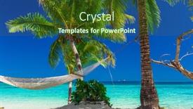  Presentation with palm plantation - Slides enhanced with palm-trees-on-a-white background and a tawny brown colored foreground