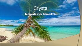  Presentation with palm plantation - Amazing PPT layouts having palm-trees-on-a-white backdrop and a teal colored foreground