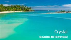  Presentation with palm plantation - Cool new theme with palm-trees-on-a-white backdrop and a light gray colored foreground