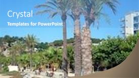  Presentation with palm beach - Amazing presentation theme having palm-trees-on-beach-promenade backdrop and a teal colored foreground