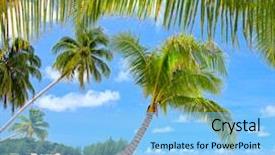  Presentation with palm beach - Beautiful slides featuring palm trees on luxury exotic backdrop and a light blue colored foreground