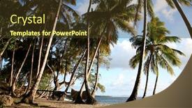  Presentation with dominican republic - Theme consisting of palm-trees-on-seashore background and a tawny brown colored foreground