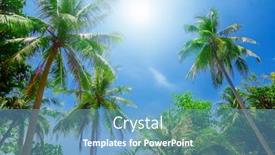  Presentation with palm beach - Presentation theme enhanced with palm trees on the beach background and a teal colored foreground