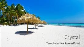  Presentation with palm beach - 