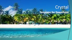  Presentation with palm beach - 