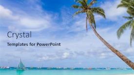  Presentation with summer trees - PPT theme consisting of palm trees on tropical beach and sea background summer vacations background and a light blue colored foreground